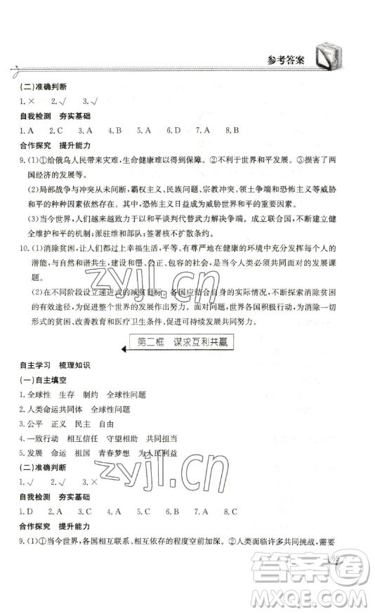 湖北教育出版社2023長江作業(yè)本同步練習冊九年級道德與法治下冊人教版參考答案