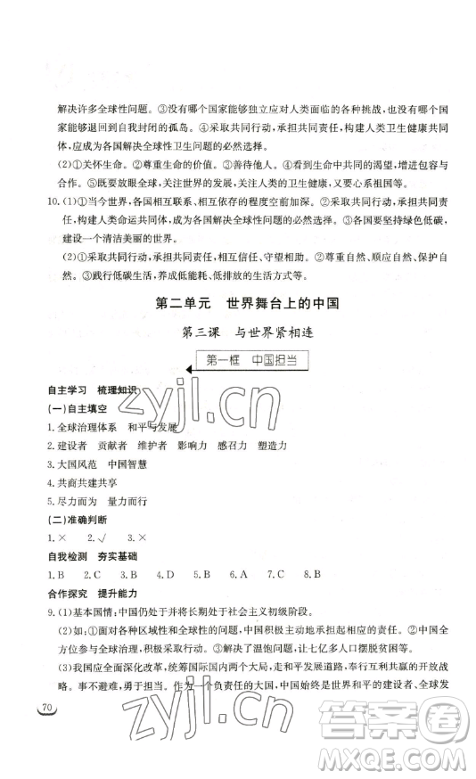 湖北教育出版社2023長江作業(yè)本同步練習冊九年級道德與法治下冊人教版參考答案