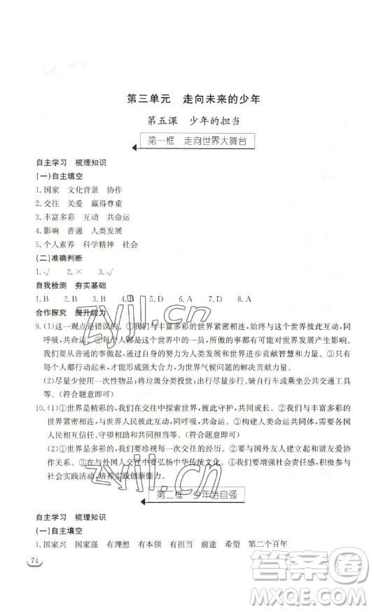 湖北教育出版社2023長江作業(yè)本同步練習冊九年級道德與法治下冊人教版參考答案