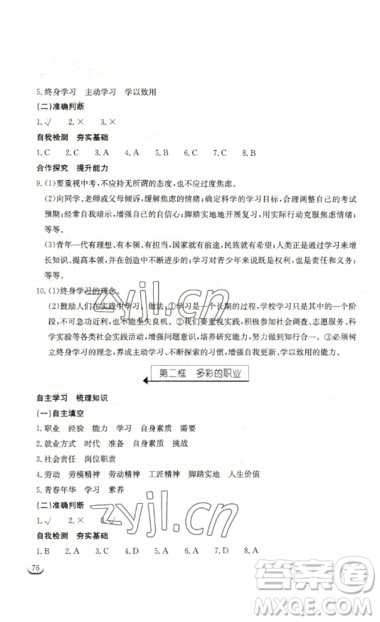 湖北教育出版社2023長江作業(yè)本同步練習冊九年級道德與法治下冊人教版參考答案