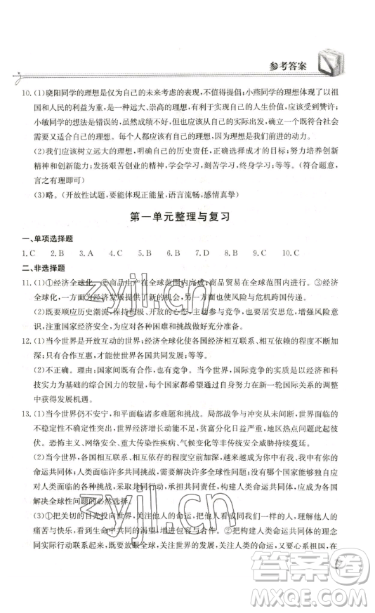 湖北教育出版社2023長江作業(yè)本同步練習冊九年級道德與法治下冊人教版參考答案