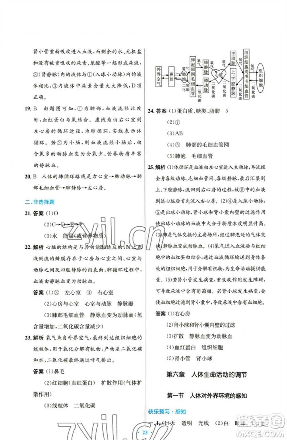 人民教育出版社2023初中同步測(cè)控優(yōu)化設(shè)計(jì)七年級(jí)生物下冊(cè)人教版參考答案