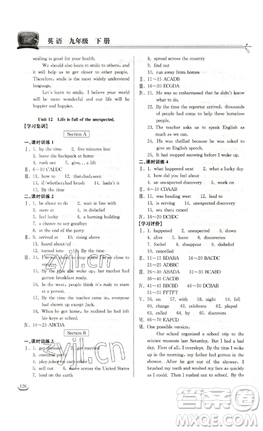 湖北教育出版社2023長江作業(yè)本同步練習(xí)冊九年級英語下冊人教版參考答案