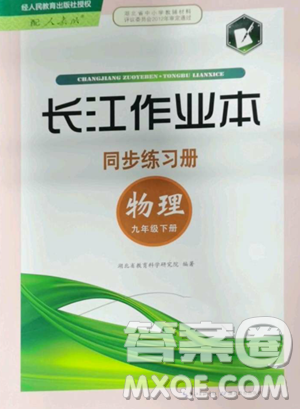 湖北教育出版社2023長(zhǎng)江作業(yè)本同步練習(xí)冊(cè)九年級(jí)物理下冊(cè)人教版參考答案