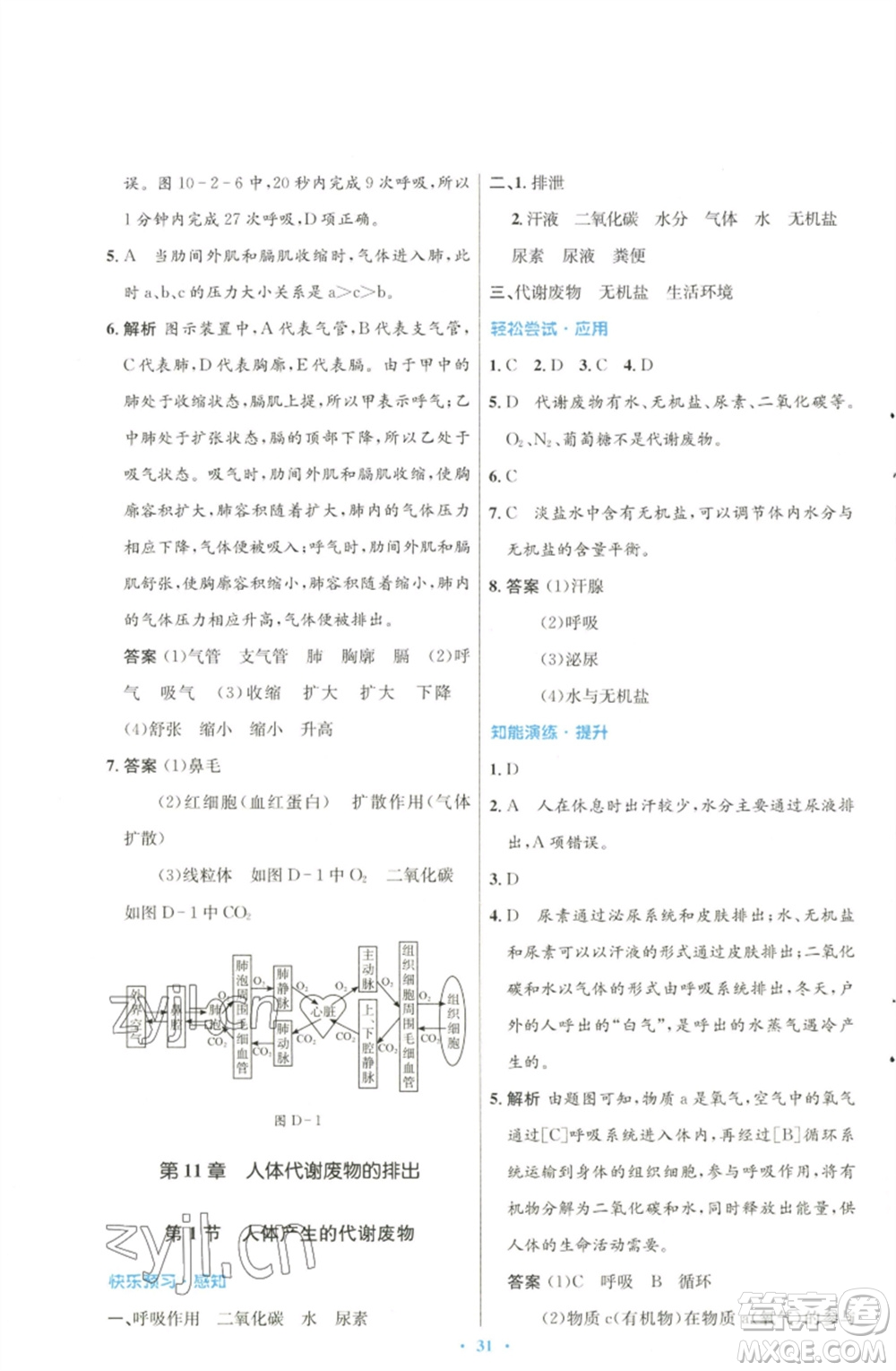 北京師范大學出版社2023初中同步測控優(yōu)化設計七年級生物下冊北師大版參考答案