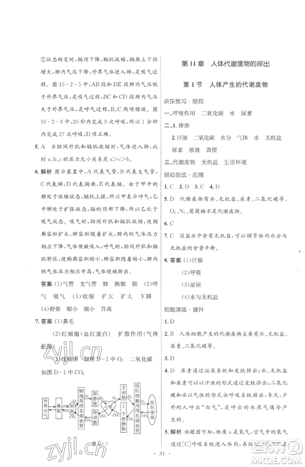 北京師范大學(xué)出版社2023初中同步測(cè)控優(yōu)化設(shè)計(jì)七年級(jí)生物下冊(cè)北師大版重慶專版參考答案