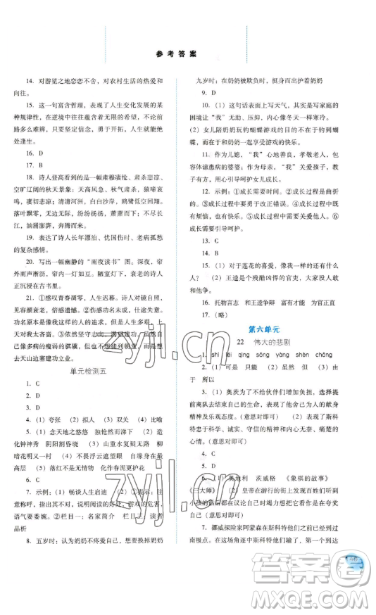 河北人民出版社2023同步訓(xùn)練七年級(jí)語(yǔ)文下冊(cè)人教版參考答案