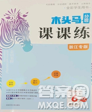 湖南師范大學(xué)出版社2023木頭馬分層課課練六年級(jí)數(shù)學(xué)下冊(cè)人教版浙江專版參考答案