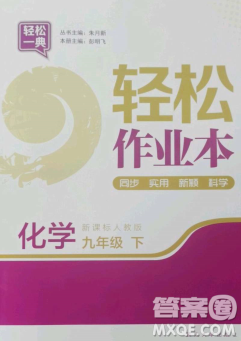 延邊大學(xué)出版社2023輕松一典輕松作業(yè)本九年級化學(xué)下冊人教版答案