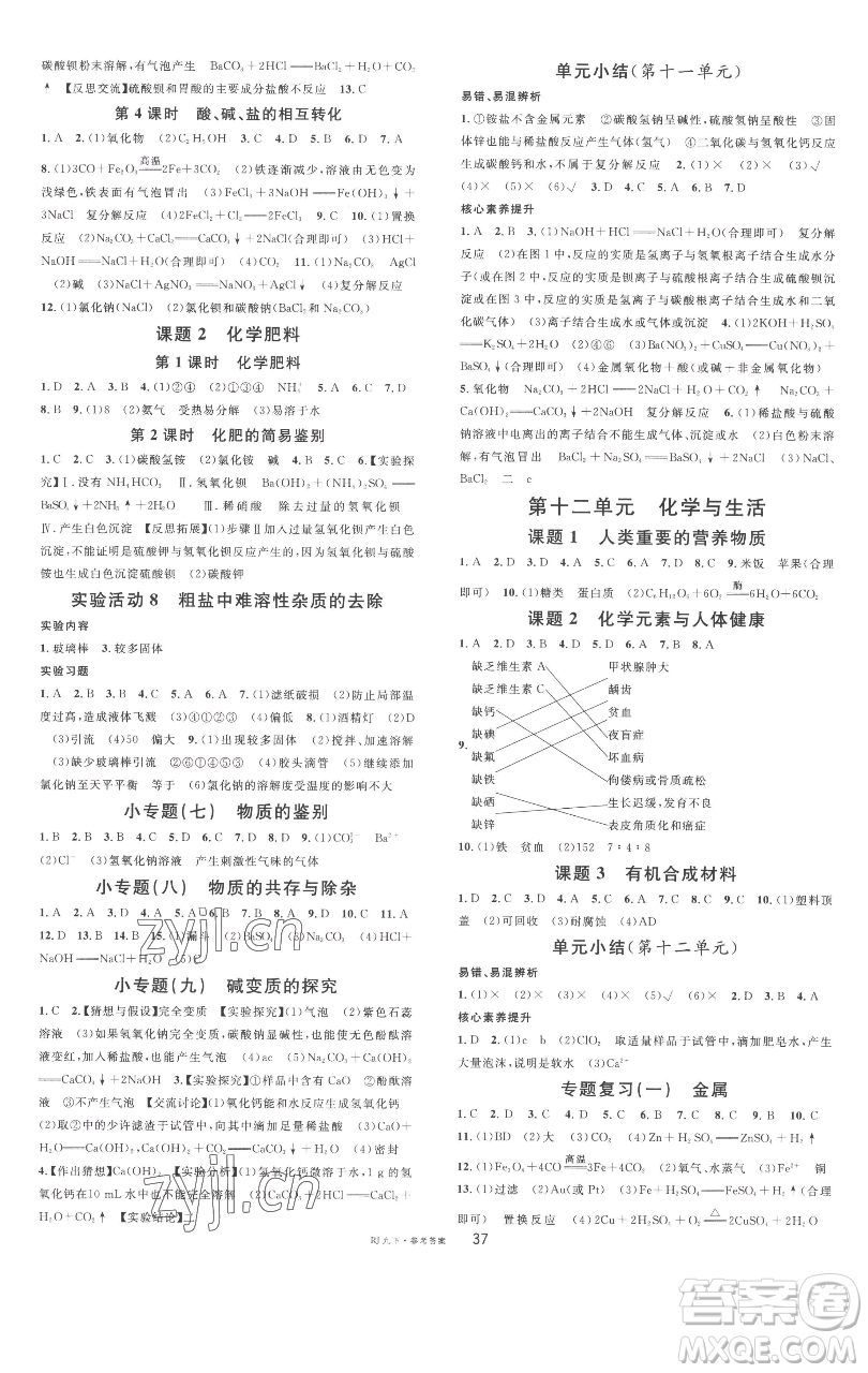 開明出版社2023名校課堂九年級(jí)化學(xué)下冊(cè)人教版參考答案