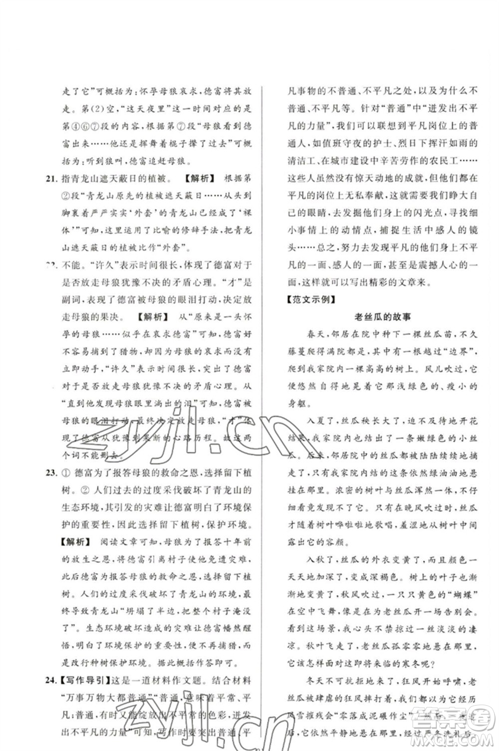 延邊教育出版社2023春季亮點給力大試卷九年級語文下冊人教版參考答案