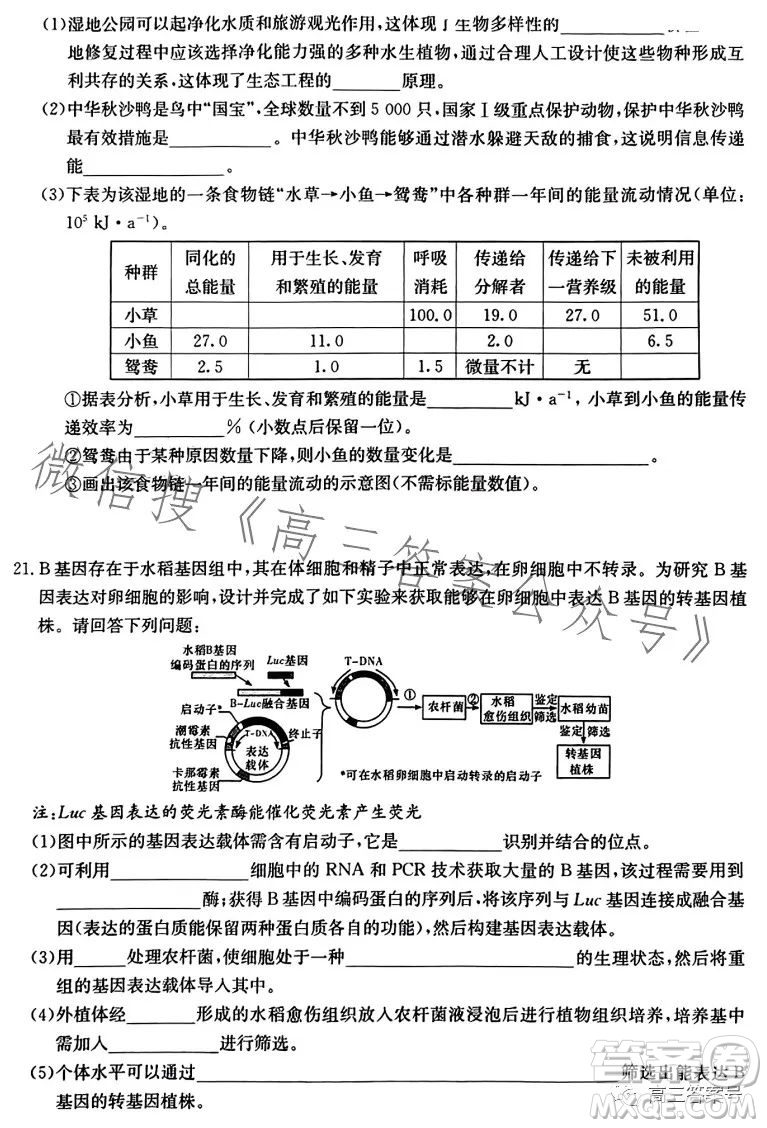 湖南省2023屆高三九校聯(lián)盟第二次聯(lián)考生物學(xué)答案