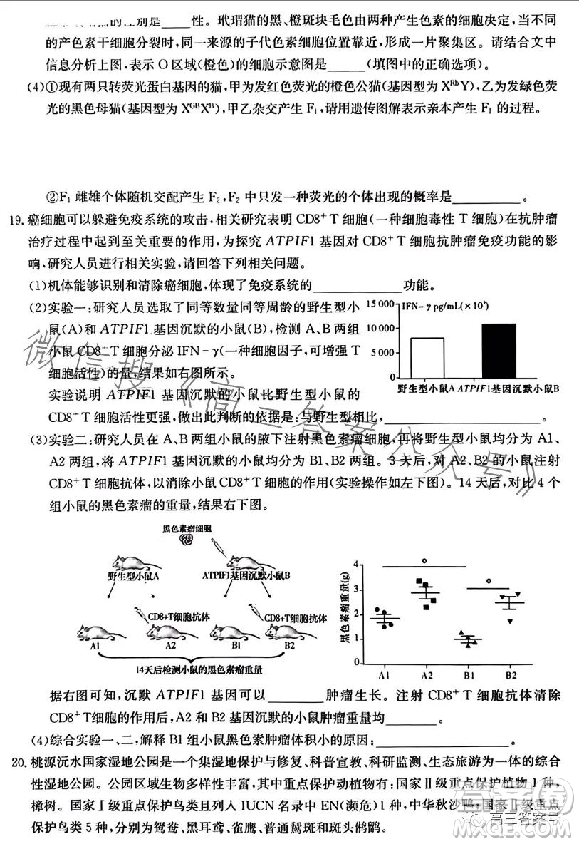 湖南省2023屆高三九校聯(lián)盟第二次聯(lián)考生物學(xué)答案