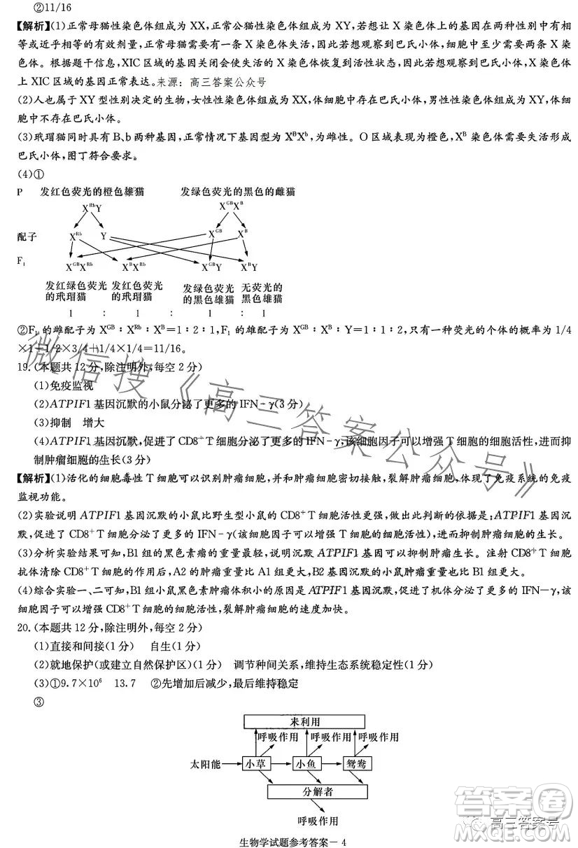 湖南省2023屆高三九校聯(lián)盟第二次聯(lián)考生物學(xué)答案