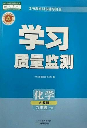 天津教育出版社2023學(xué)習(xí)質(zhì)量監(jiān)測(cè)九年級(jí)化學(xué)下冊(cè)人教版參考答案