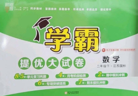 寧夏人民教育出版社2023學霸提優(yōu)大試卷二年級數(shù)學下冊江蘇版參考答案