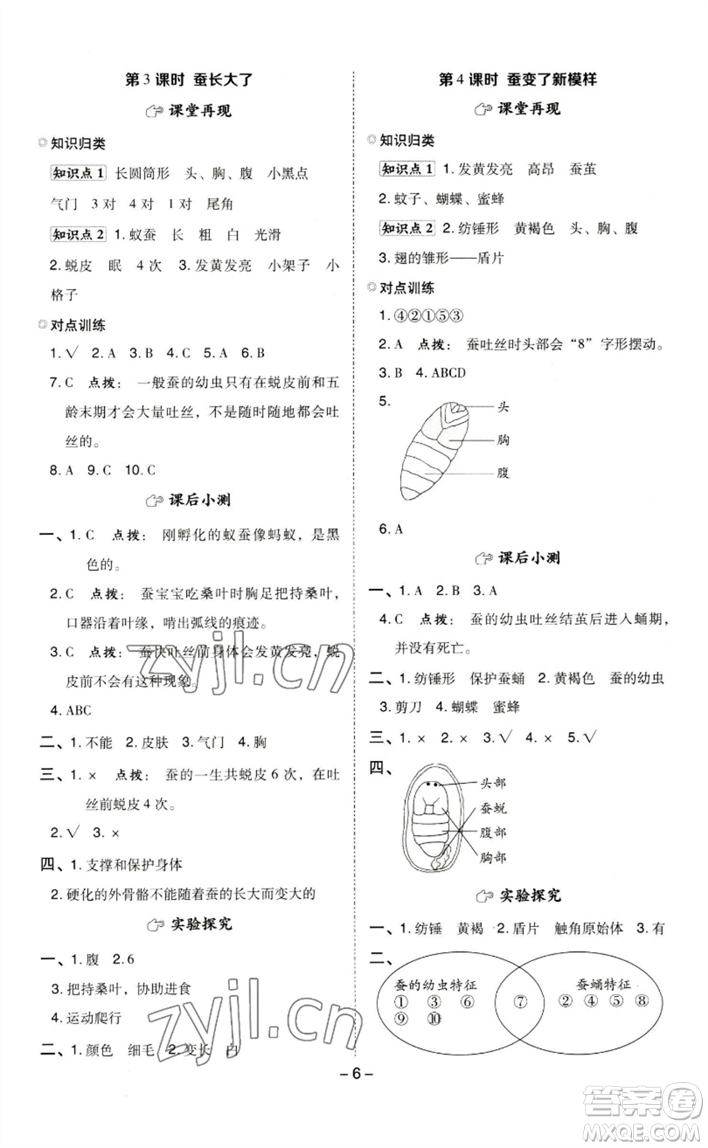 山西教育出版社2023綜合應用創(chuàng)新題典中點三年級科學下冊教科版參考答案