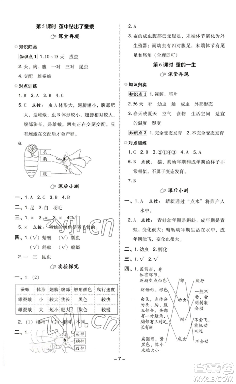 山西教育出版社2023綜合應用創(chuàng)新題典中點三年級科學下冊教科版參考答案