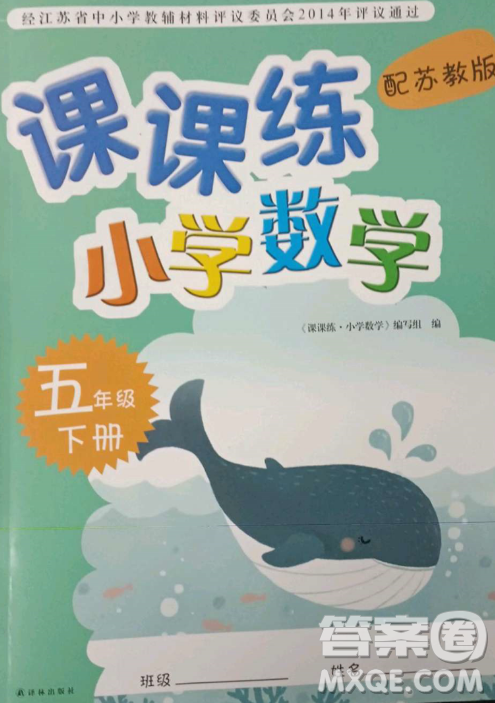 譯林出版社2023課課練小學(xué)數(shù)學(xué)五年級下冊蘇教版答案