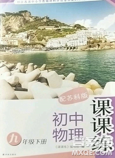 譯林出版社2023課課練初中物理九年級下冊蘇科版答案