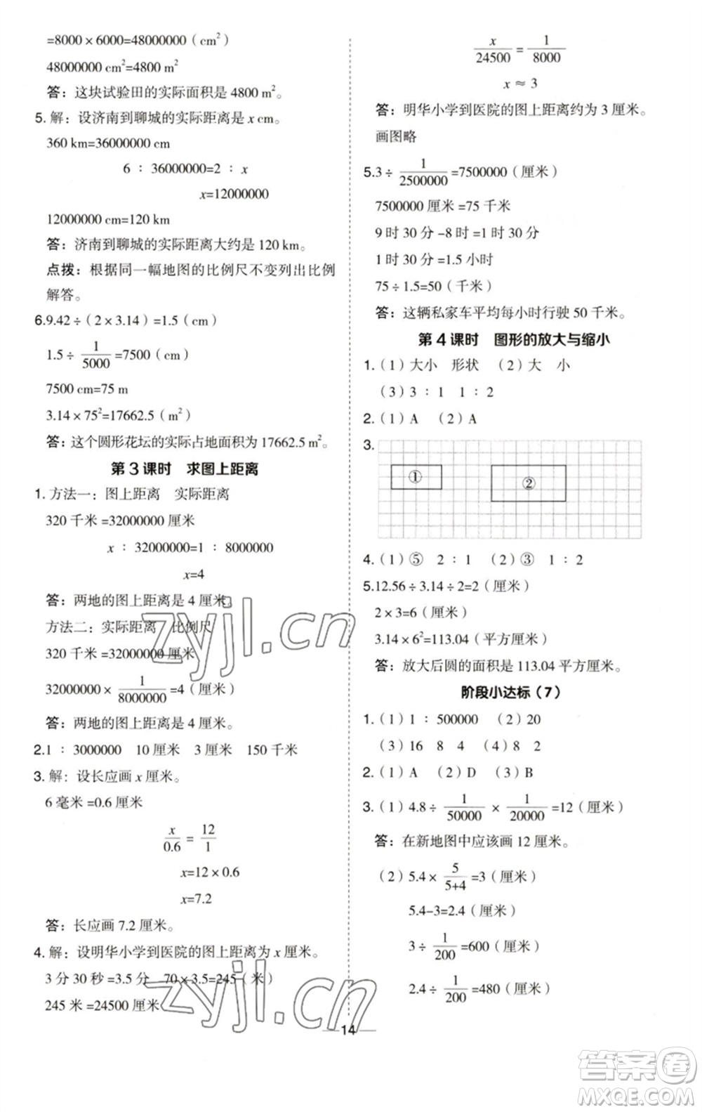 吉林教育出版社2023綜合應(yīng)用創(chuàng)新題典中點(diǎn)六年級(jí)數(shù)學(xué)下冊(cè)青島版參考答案