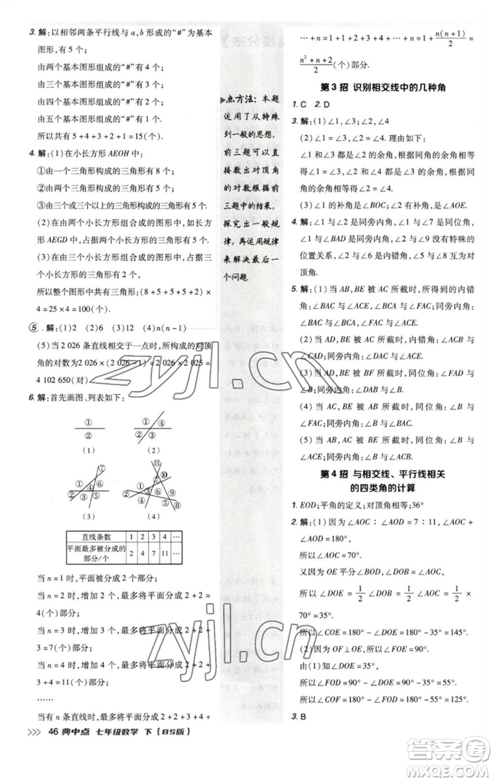 陜西人民教育出版社2023綜合應(yīng)用創(chuàng)新題典中點(diǎn)七年級數(shù)學(xué)下冊北師大版參考答案