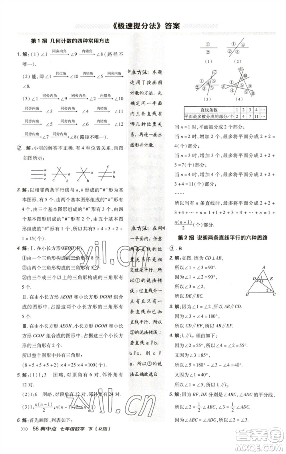 陜西人民教育出版社2023綜合應(yīng)用創(chuàng)新題典中點七年級數(shù)學(xué)下冊人教版參考答案