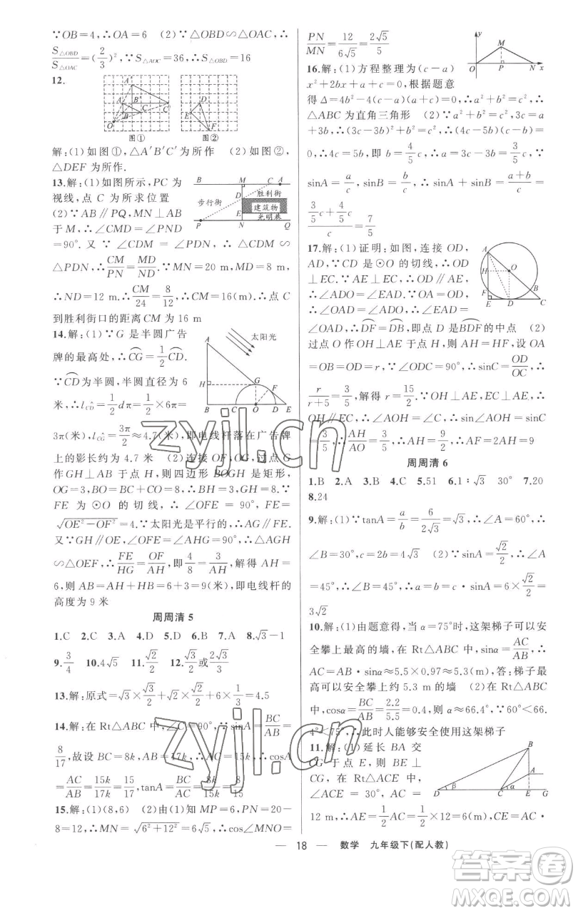 新疆青少年出版社2023四清導航九年級下冊數(shù)學人教版參考答案