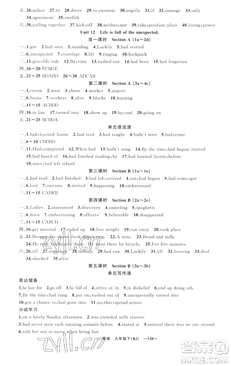 新疆青少年出版社2023四清導(dǎo)航九年級(jí)下冊(cè)英語人教版黃石專版參考答案