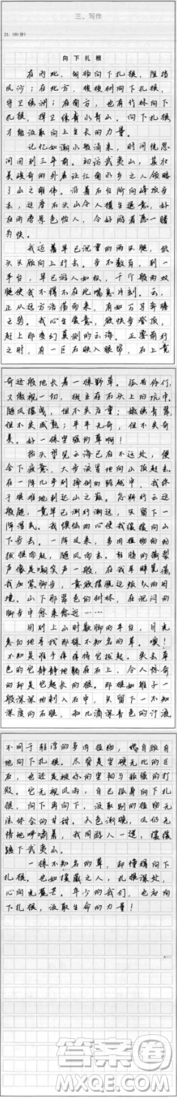 向下扎根為題作文600字 關(guān)于向下扎根為題目的作文600字