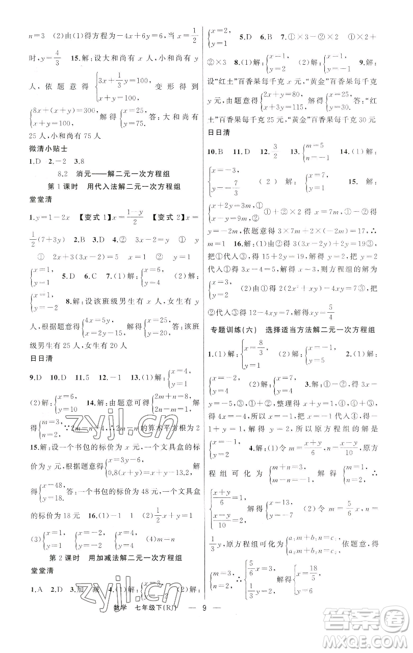 新疆青少年出版社2023四清導(dǎo)航七年級下冊數(shù)學人教版河南專版參考答案