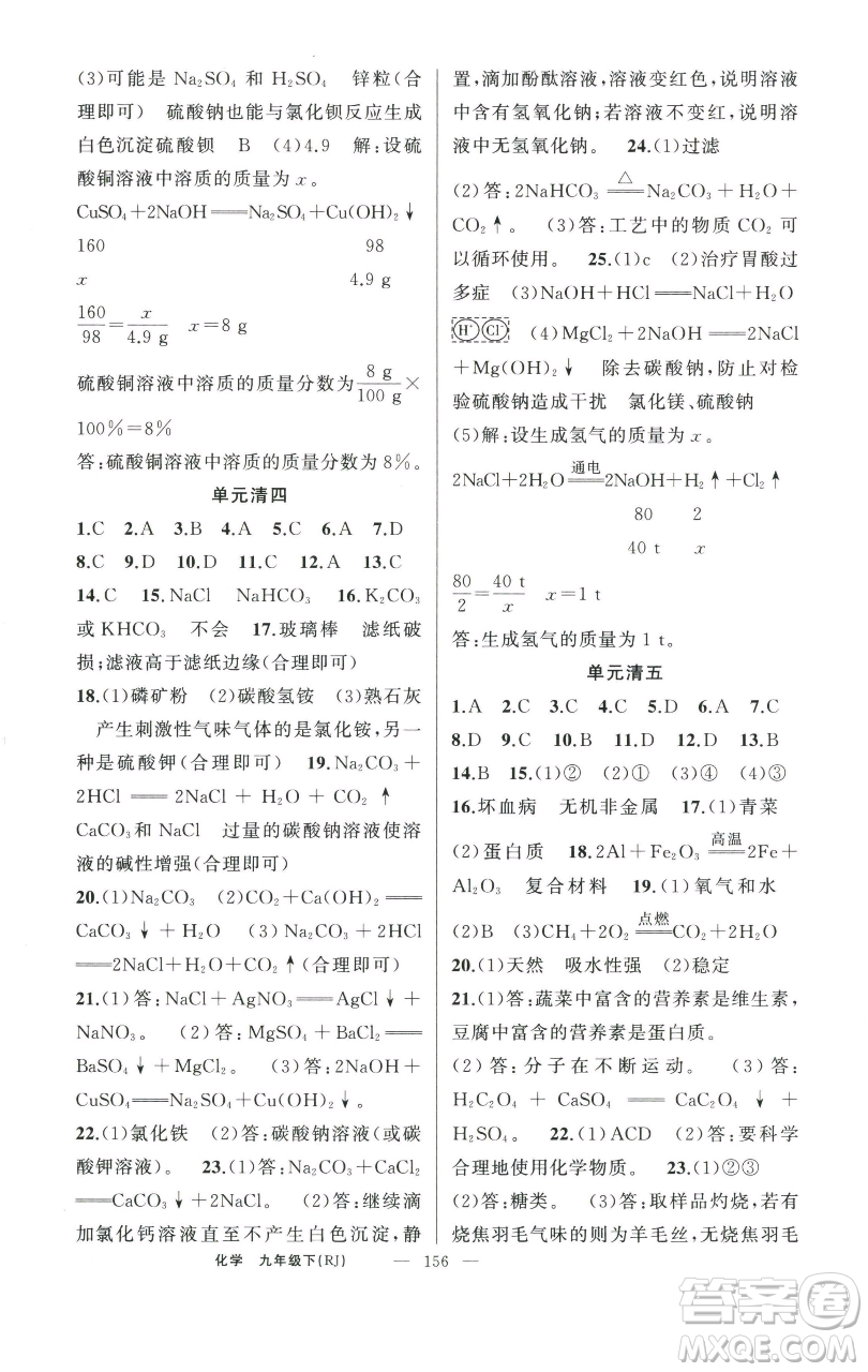 新疆青少年出版社2023四清導(dǎo)航九年級(jí)下冊(cè)化學(xué)人教版河南專版參考答案