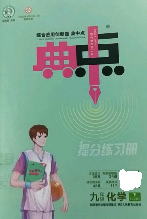 陜西人民教育出版社2023綜合應(yīng)用創(chuàng)新題典中點九年級化學(xué)下冊魯教版參考答案