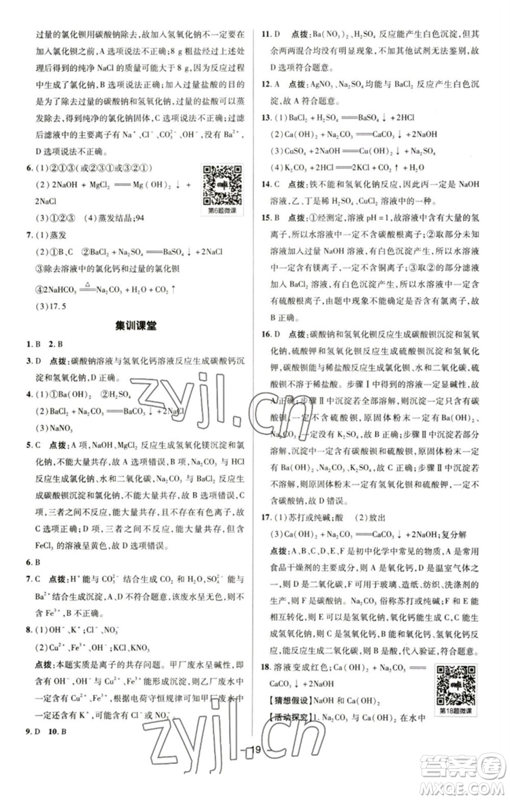 陜西人民教育出版社2023綜合應(yīng)用創(chuàng)新題典中點(diǎn)九年級化學(xué)下冊人教版參考答案