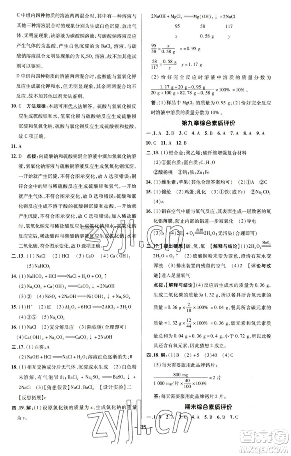 陜西人民教育出版社2023綜合應(yīng)用創(chuàng)新題典中點(diǎn)九年級(jí)化學(xué)下冊(cè)科粵版參考答案