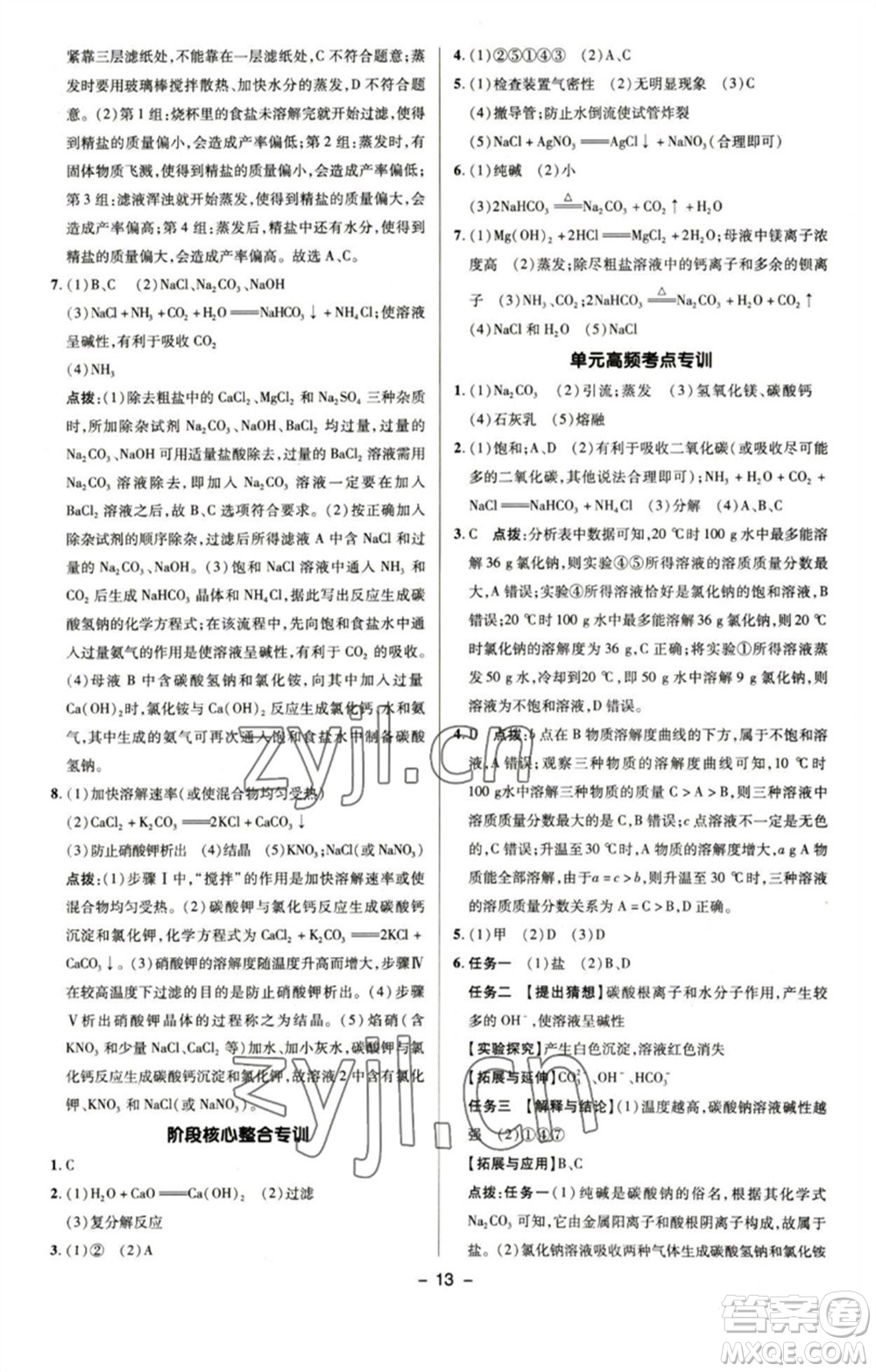 陜西人民教育出版社2023綜合應(yīng)用創(chuàng)新題典中點九年級化學(xué)下冊魯教版參考答案