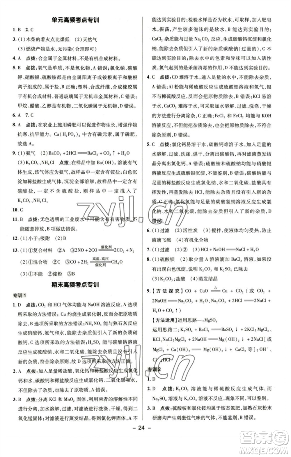 陜西人民教育出版社2023綜合應(yīng)用創(chuàng)新題典中點九年級化學(xué)下冊魯教版參考答案