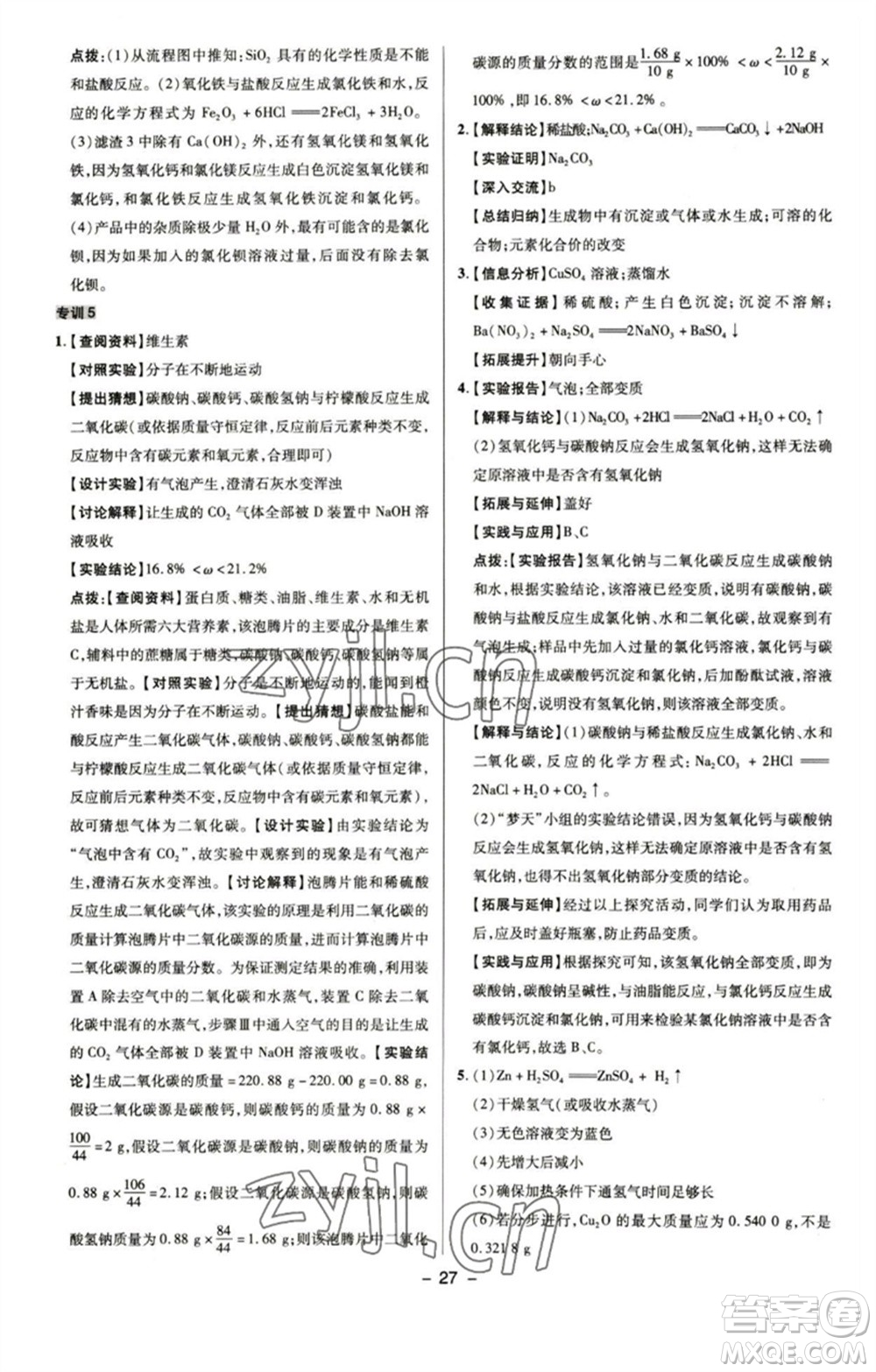 陜西人民教育出版社2023綜合應(yīng)用創(chuàng)新題典中點九年級化學(xué)下冊魯教版參考答案