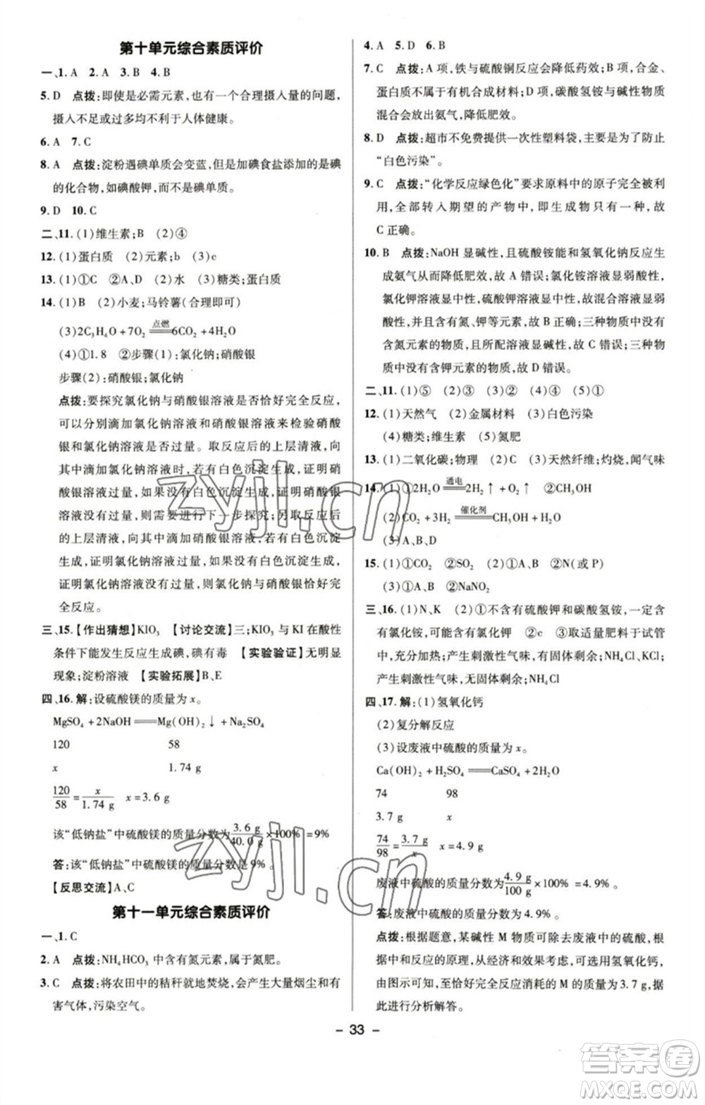 陜西人民教育出版社2023綜合應(yīng)用創(chuàng)新題典中點九年級化學(xué)下冊魯教版參考答案