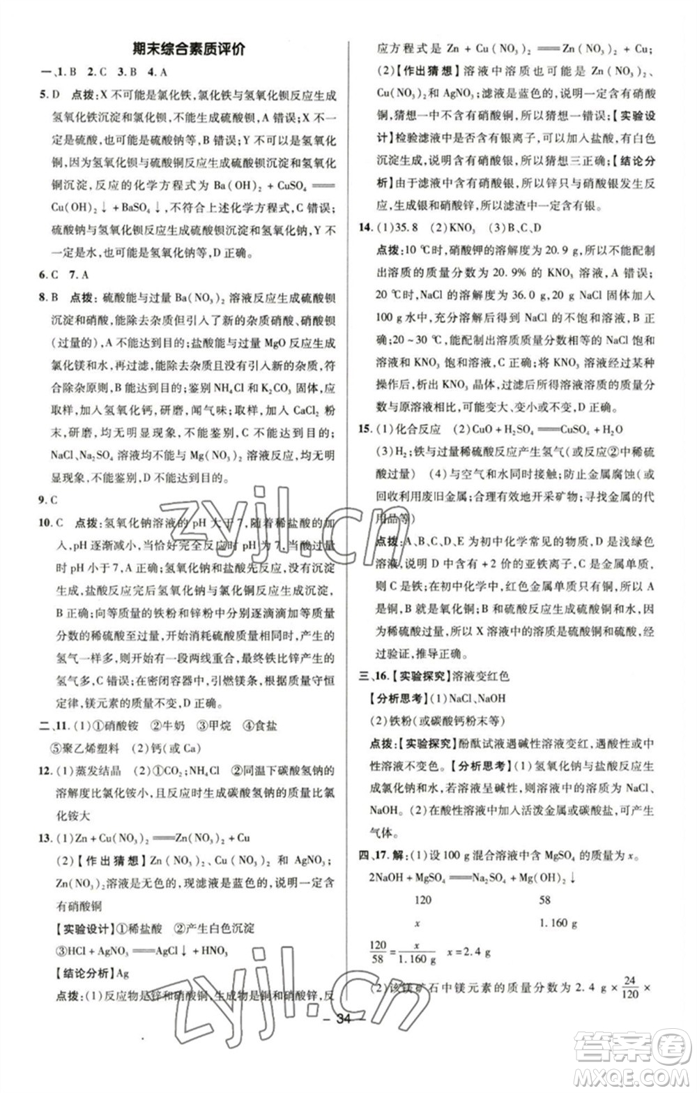 陜西人民教育出版社2023綜合應(yīng)用創(chuàng)新題典中點九年級化學(xué)下冊魯教版參考答案