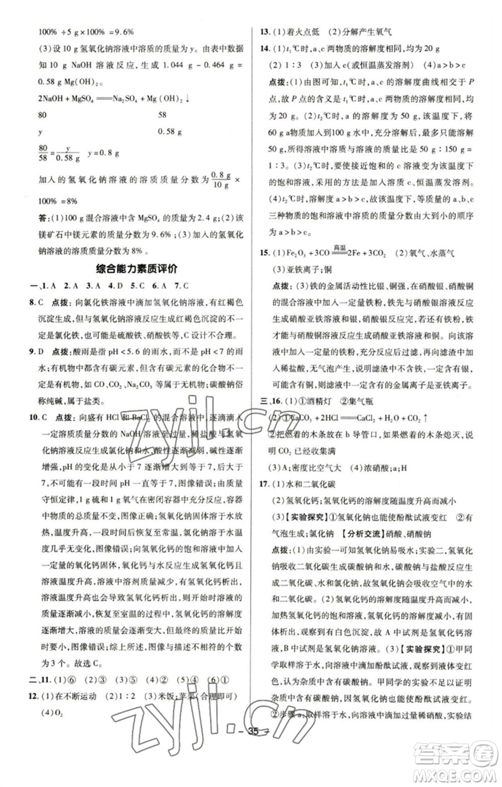 陜西人民教育出版社2023綜合應(yīng)用創(chuàng)新題典中點九年級化學(xué)下冊魯教版參考答案