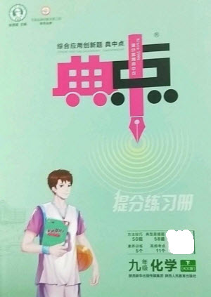 陜西人民教育出版社2023綜合應(yīng)用創(chuàng)新題典中點(diǎn)九年級(jí)化學(xué)下冊(cè)科粵版參考答案