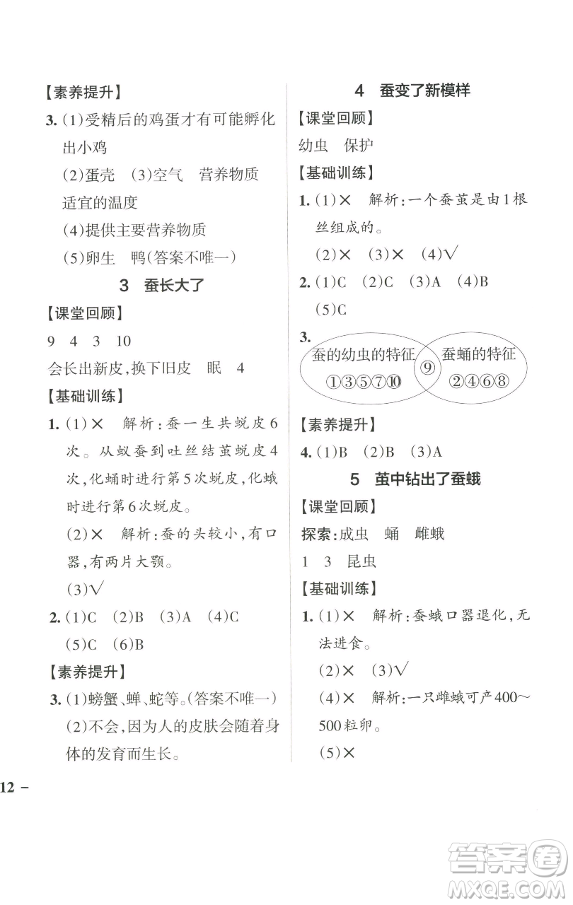 遼寧教育出版社2023小學(xué)學(xué)霸作業(yè)本三年級下冊科學(xué)教科版參考答案