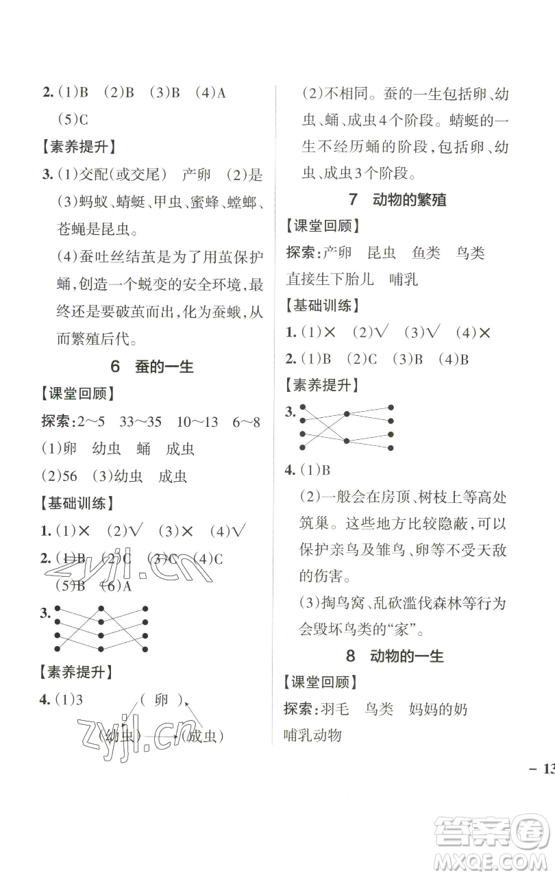 遼寧教育出版社2023小學(xué)學(xué)霸作業(yè)本三年級下冊科學(xué)教科版參考答案