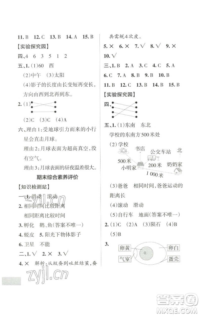 遼寧教育出版社2023小學(xué)學(xué)霸作業(yè)本三年級下冊科學(xué)教科版參考答案