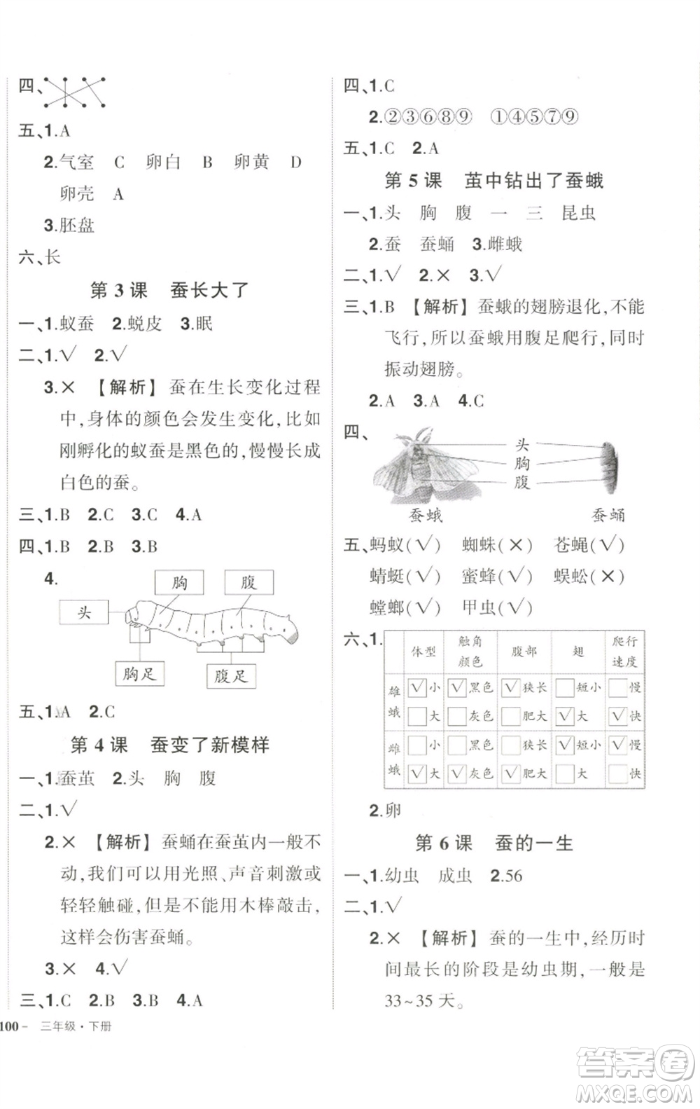 武漢出版社2023狀元成才路創(chuàng)優(yōu)作業(yè)100分三年級科學(xué)下冊教科版參考答案