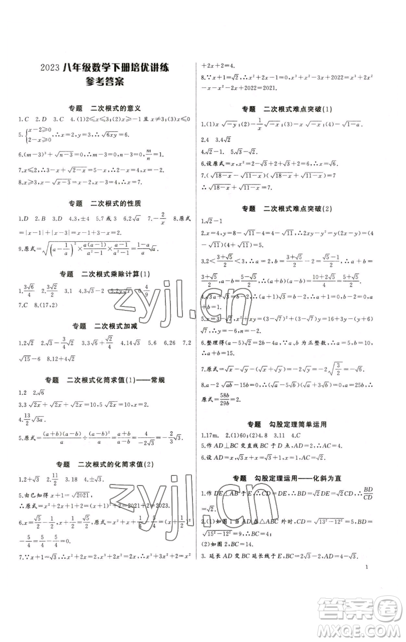 長江少年兒童出版社2023思維新觀察培優(yōu)講練八年級下冊數(shù)學(xué)人教版參考答案