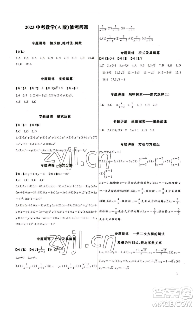 長(zhǎng)江少年兒童出版社2023思維新觀察中考數(shù)學(xué)專題復(fù)習(xí)參考答案