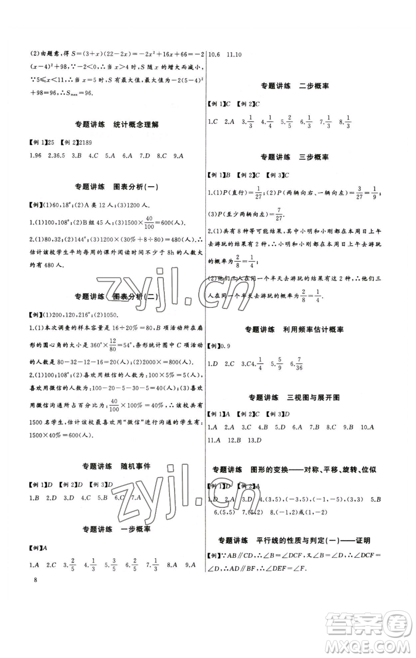 長(zhǎng)江少年兒童出版社2023思維新觀察中考數(shù)學(xué)專題復(fù)習(xí)參考答案