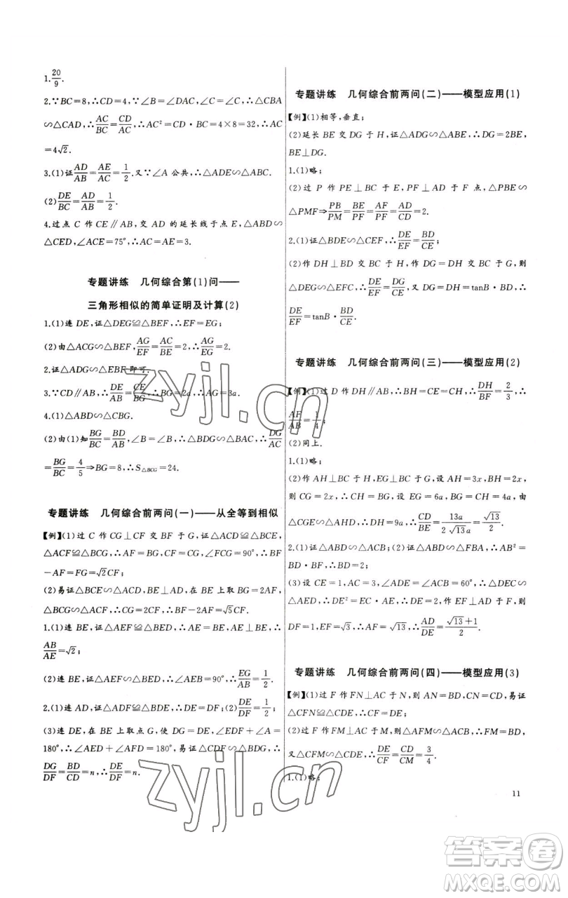 長(zhǎng)江少年兒童出版社2023思維新觀察中考數(shù)學(xué)專題復(fù)習(xí)參考答案